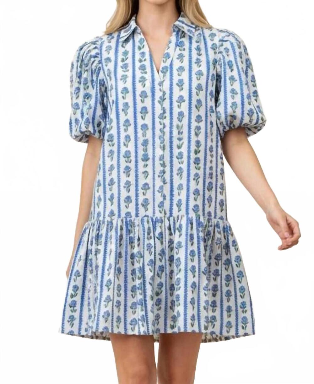 NEW PINCH floral stripe puffed sleeve mini dress in blue